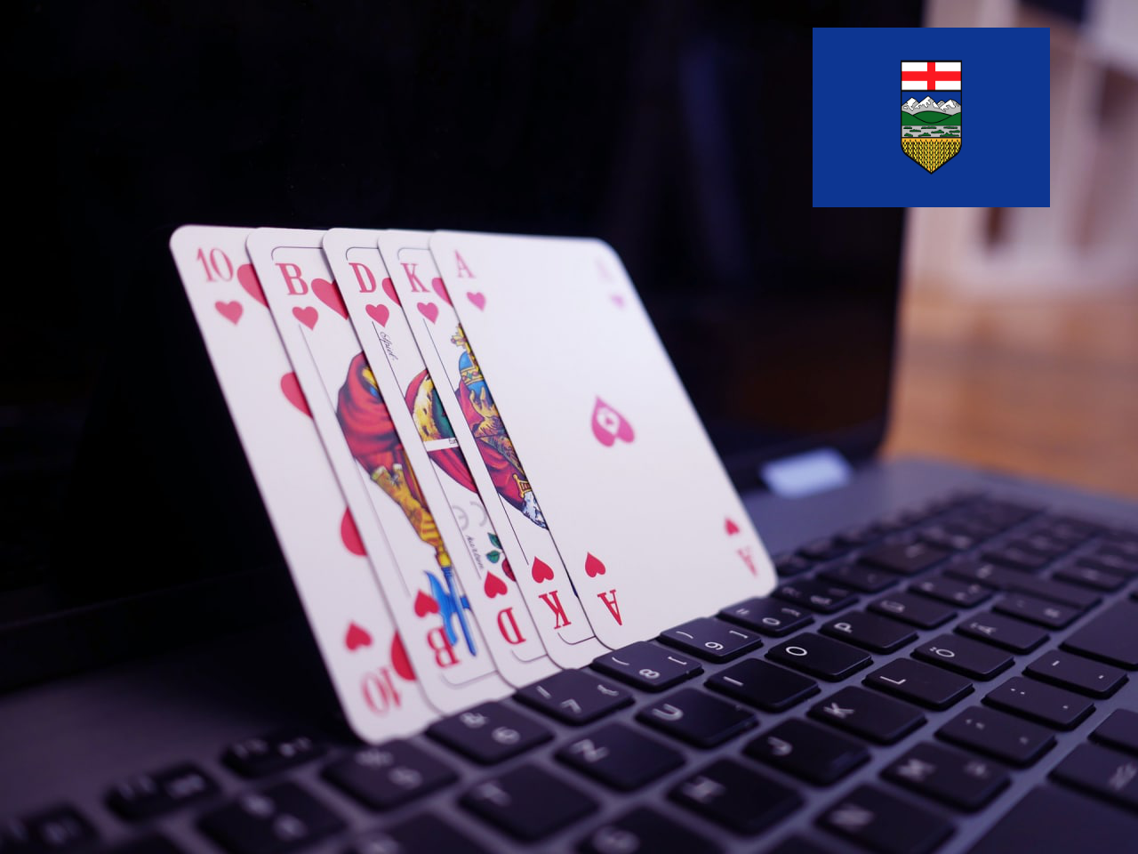 Online poker Canada in Alberta